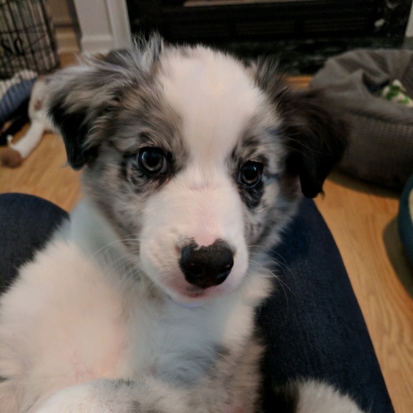 Meet your Posher, Jen - Picture 1 of 1